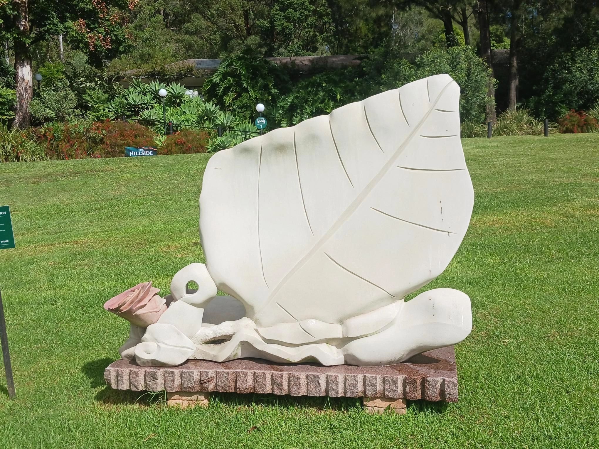 Studio note from the Tamborine Mountain Glades exhibition